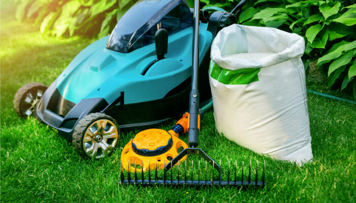 10 Easy Lawn Care Tips for a Lush Yard